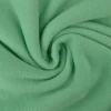 Anti-Pilling Fleece: Mint