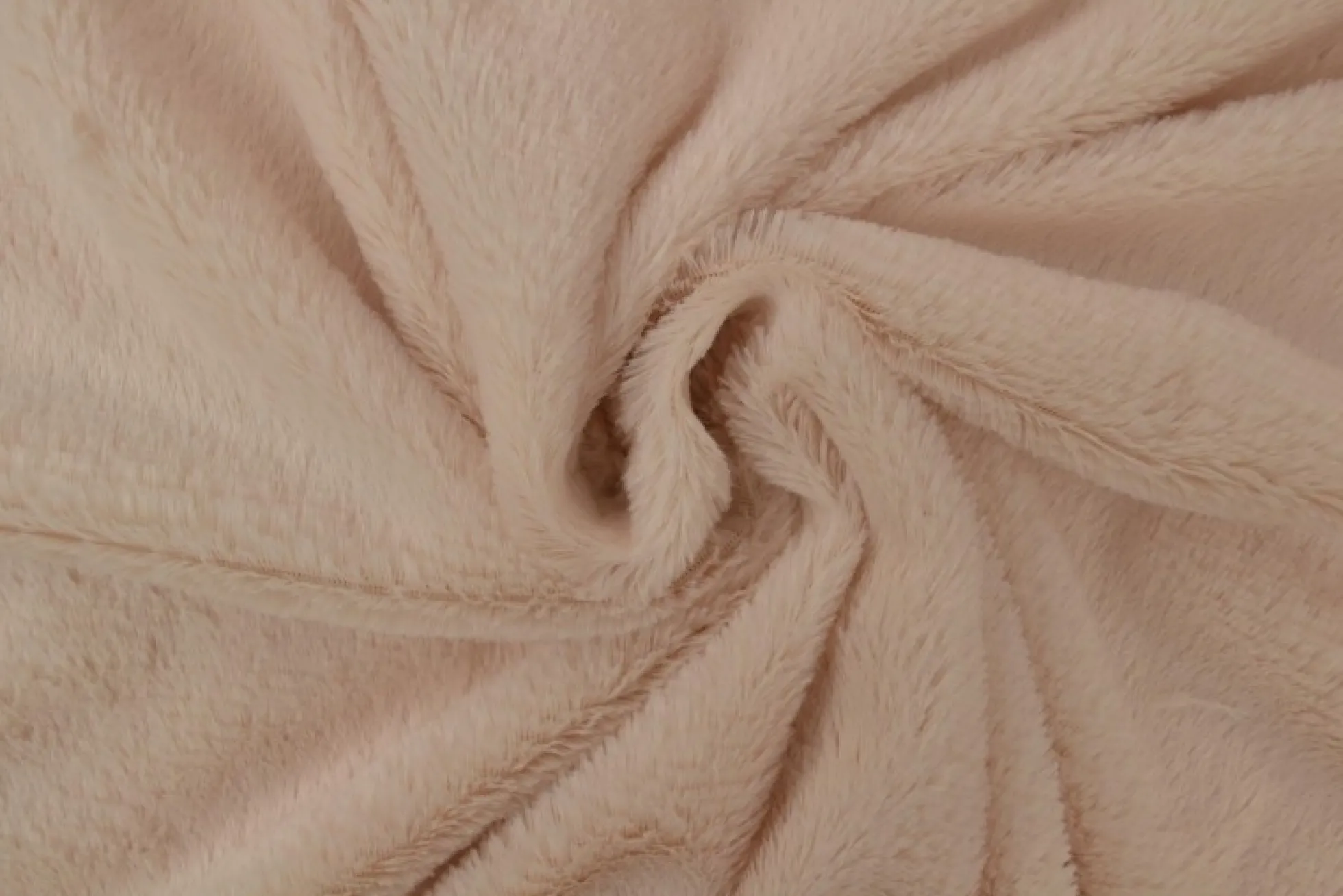 Bont kortharig (pluche) – Champagne