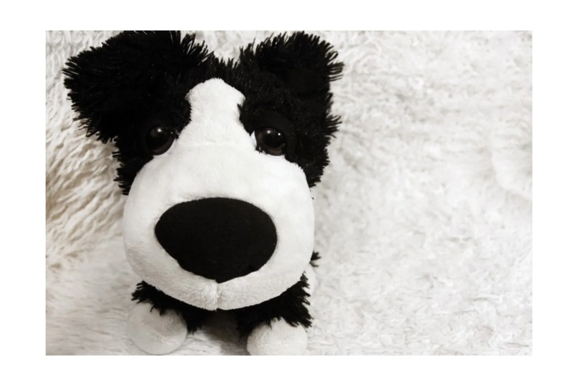 Bont langharig (Pluche / Fluffy) – Rood
