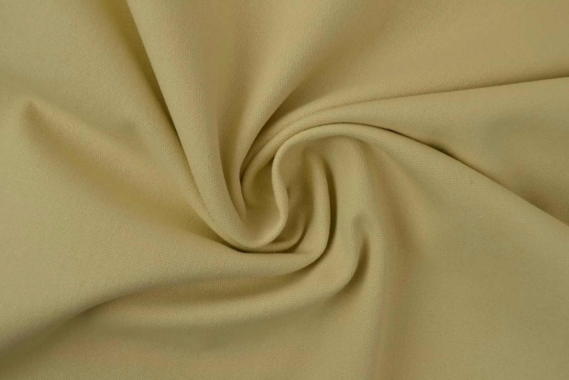 Canvas – Champagne