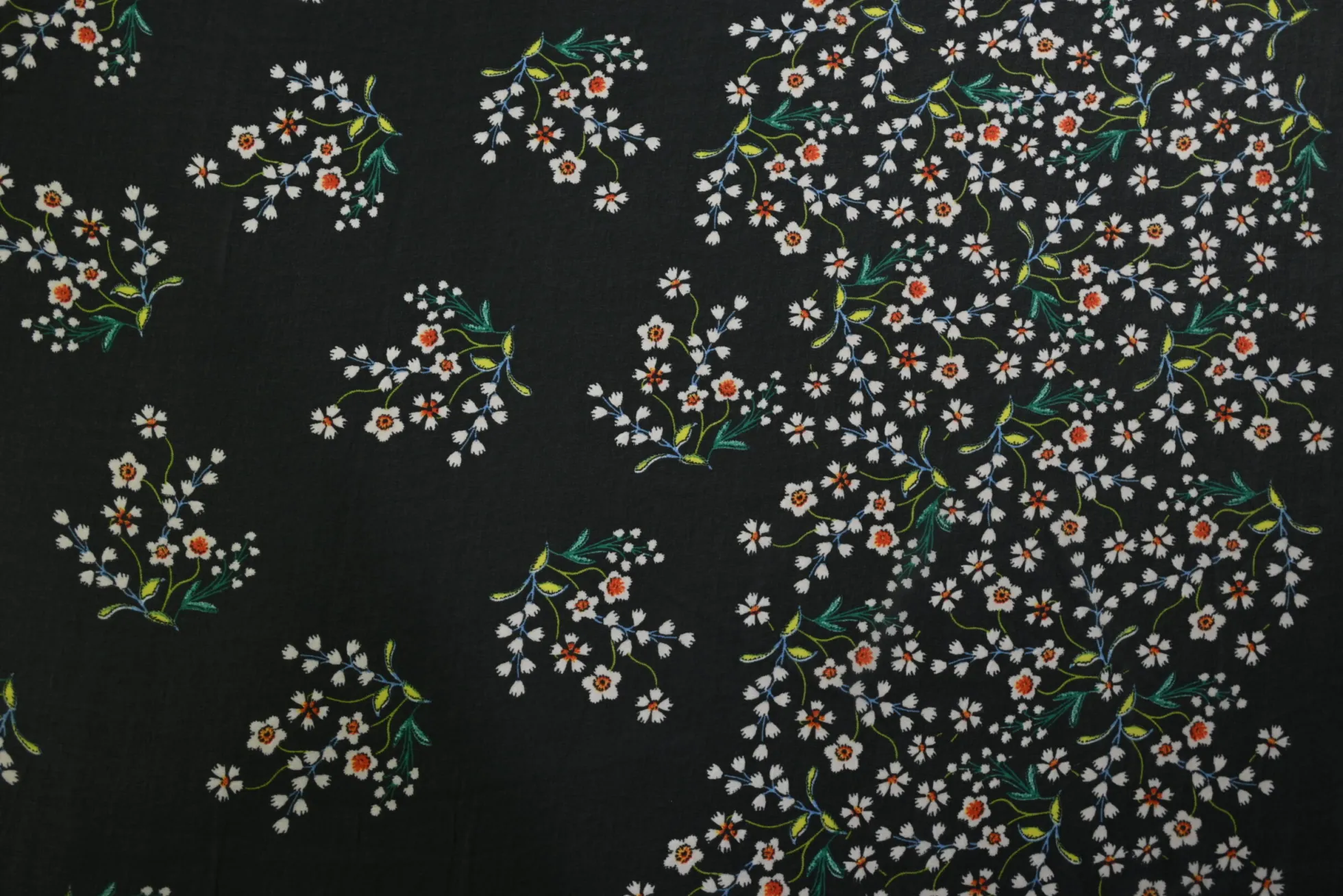 Chiffon – Daisy dance black border