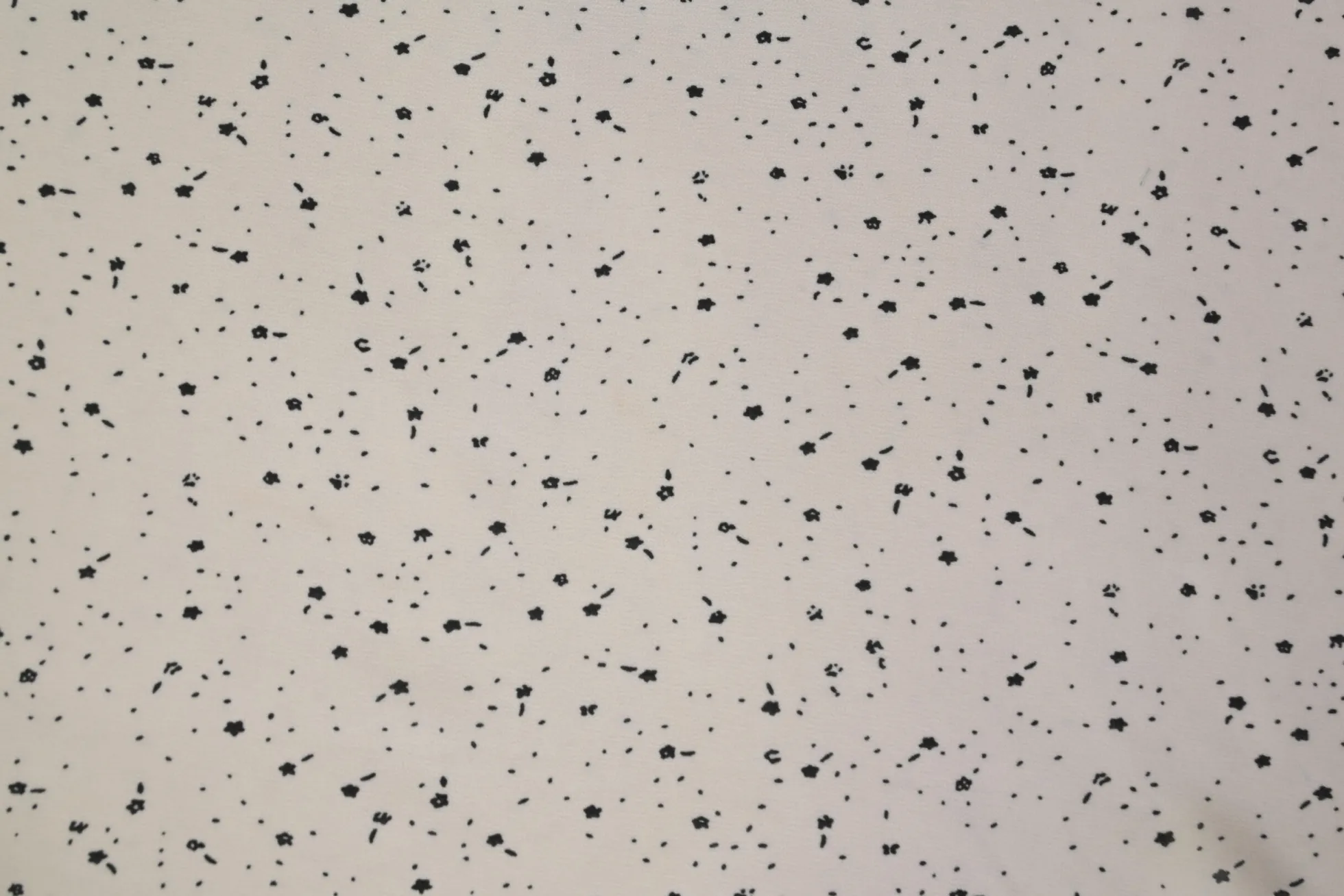 Chiffon – Floral speckles on ivory