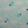 Coral Fleece – Balloons on mint