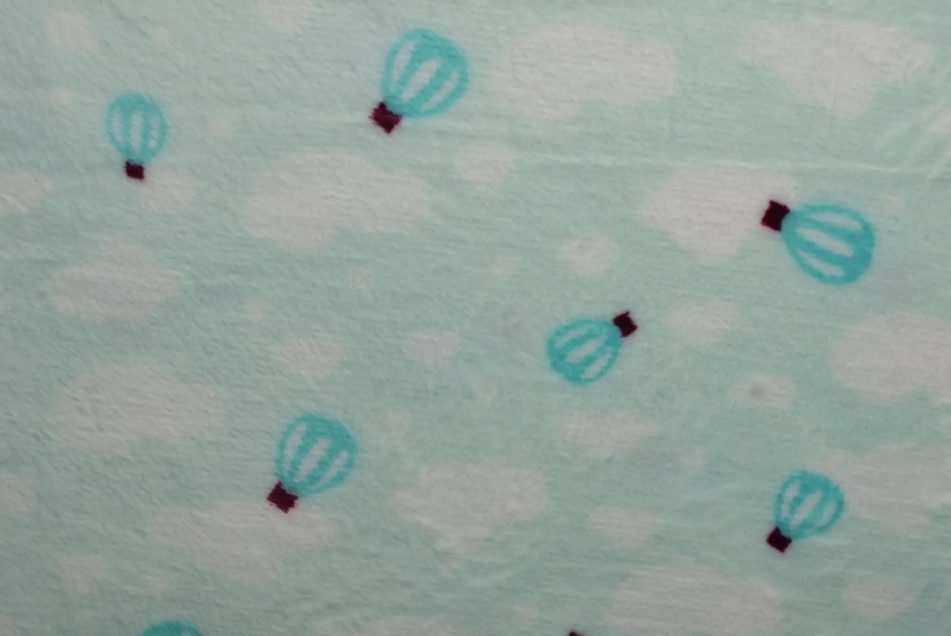 Coral Fleece – Balloons on mint