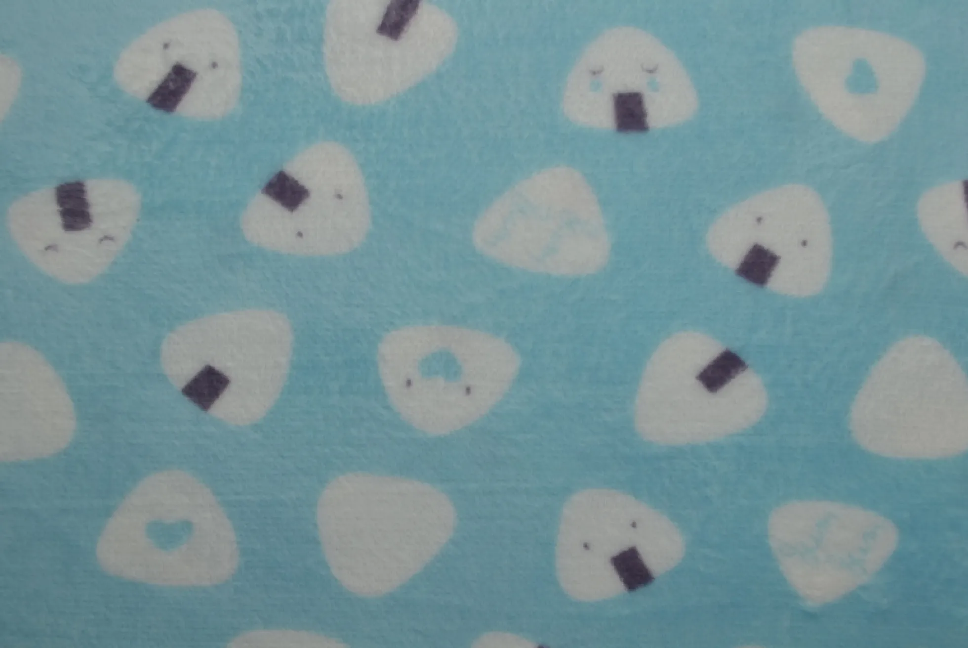 Coral Fleece – Onigiri on aqua