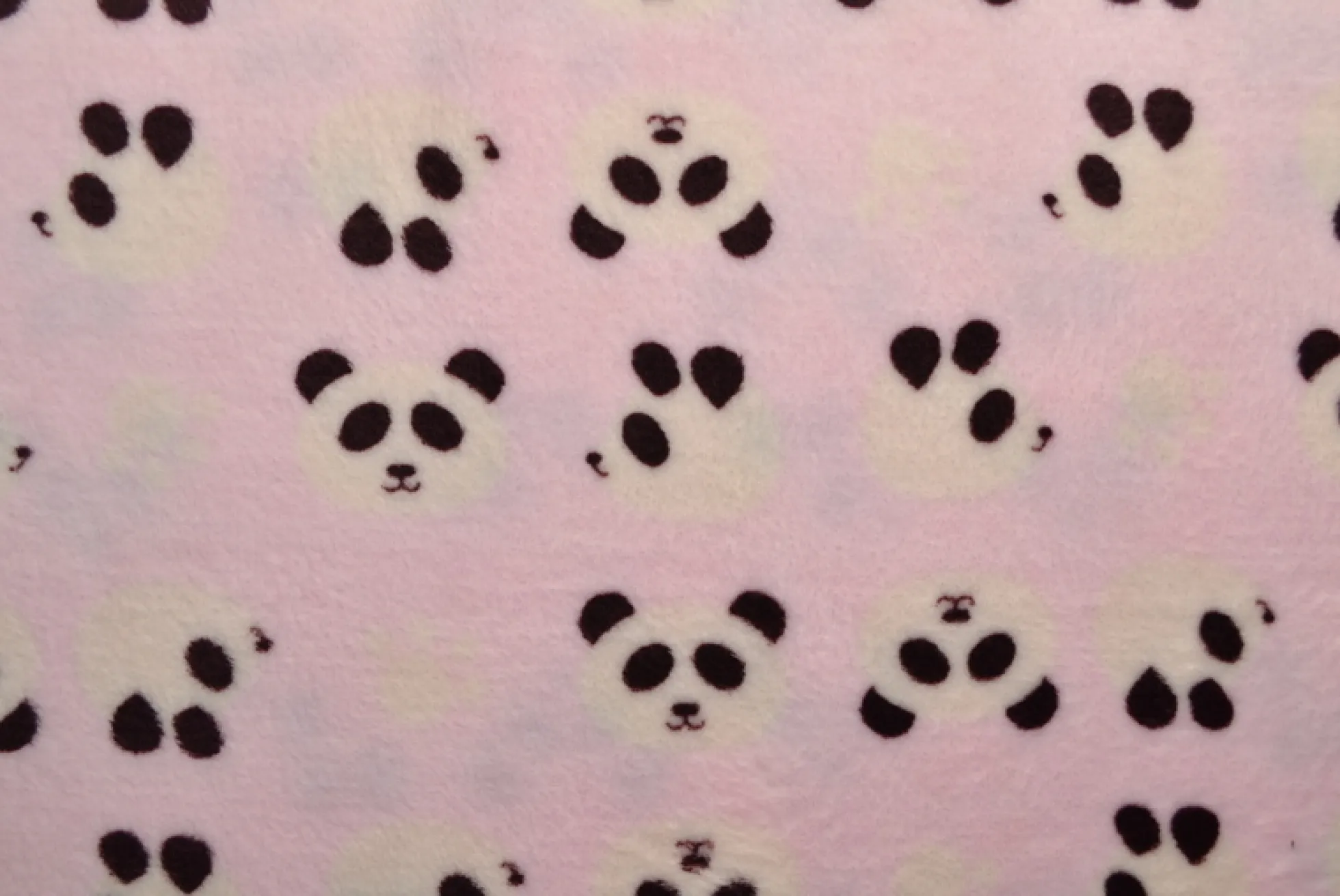 Coral Fleece – Panda on pink