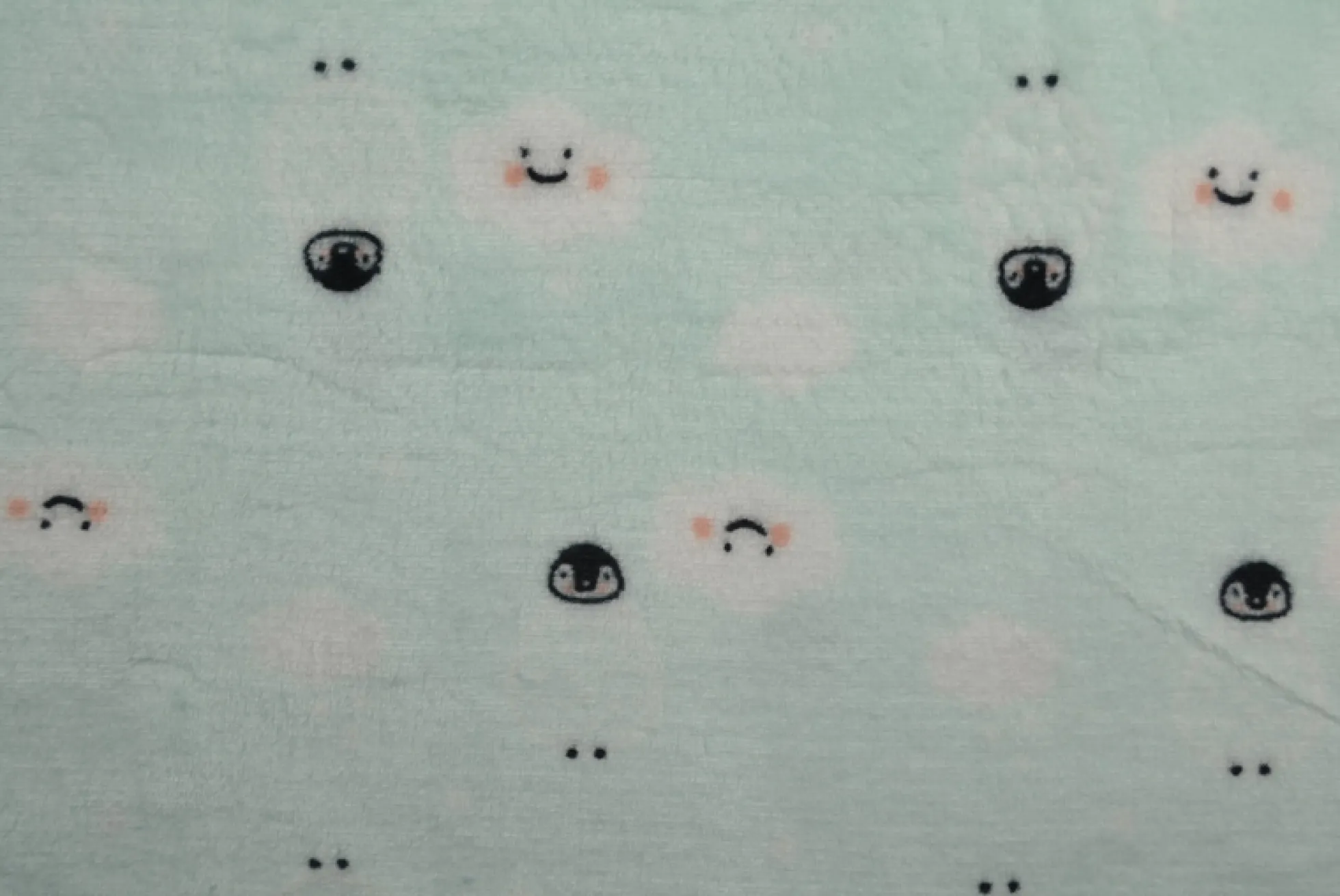 Coral Fleece – Pinguin & clouds on mint