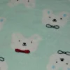 Coral Fleece – Polar bears mint