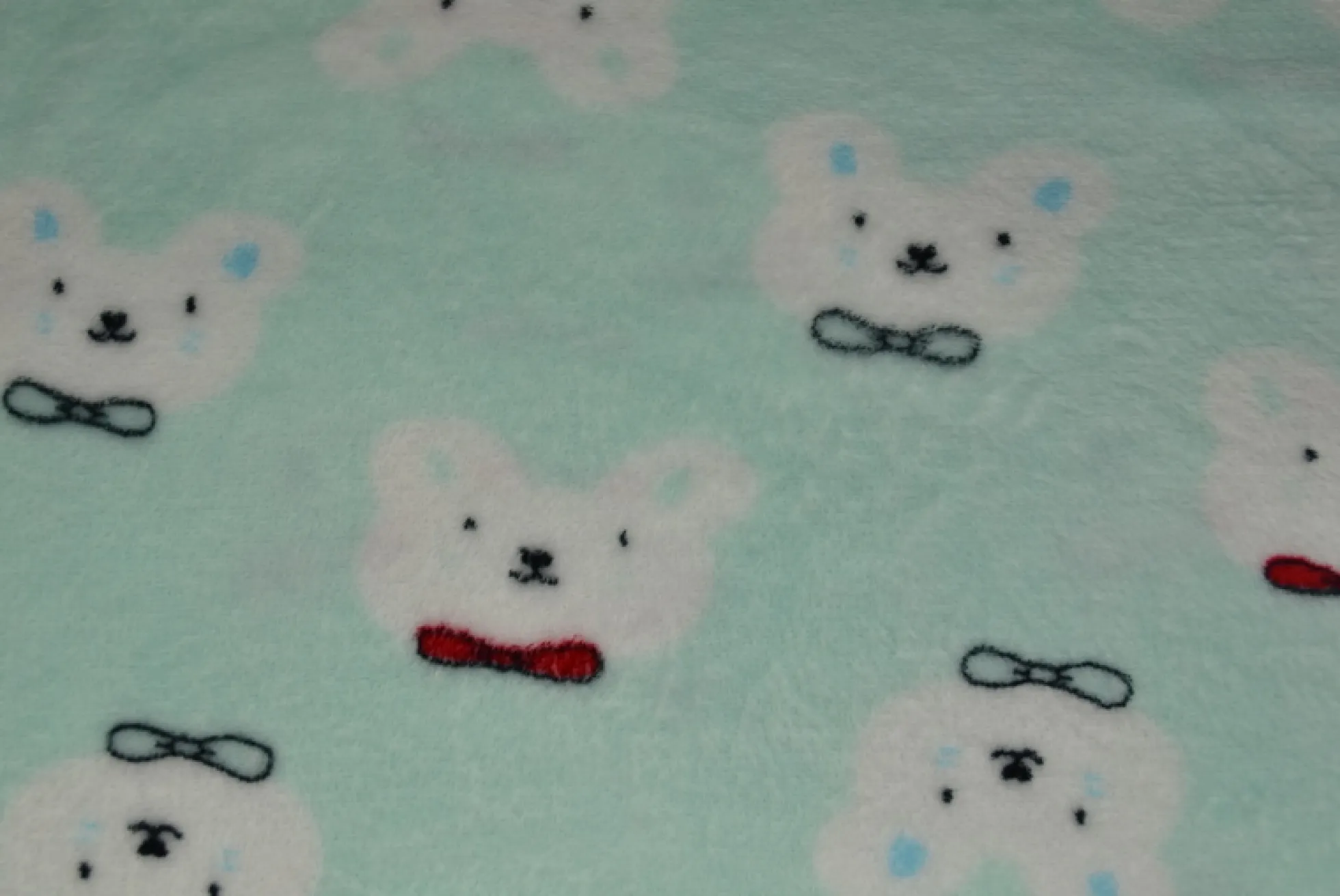 Coral Fleece – Polar bears mint