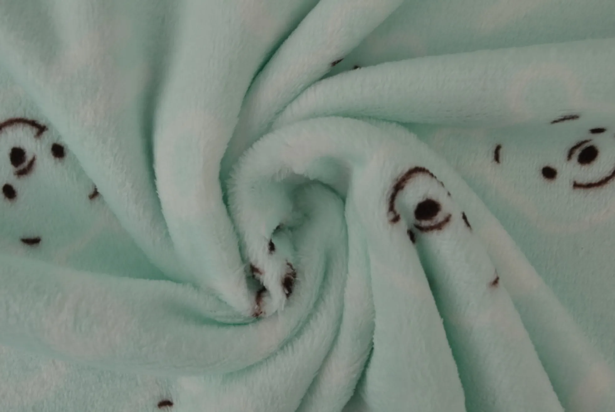 Coral Fleece – Smiling POOH light mint