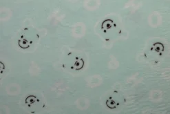Coral Fleece – Smiling POOH light mint