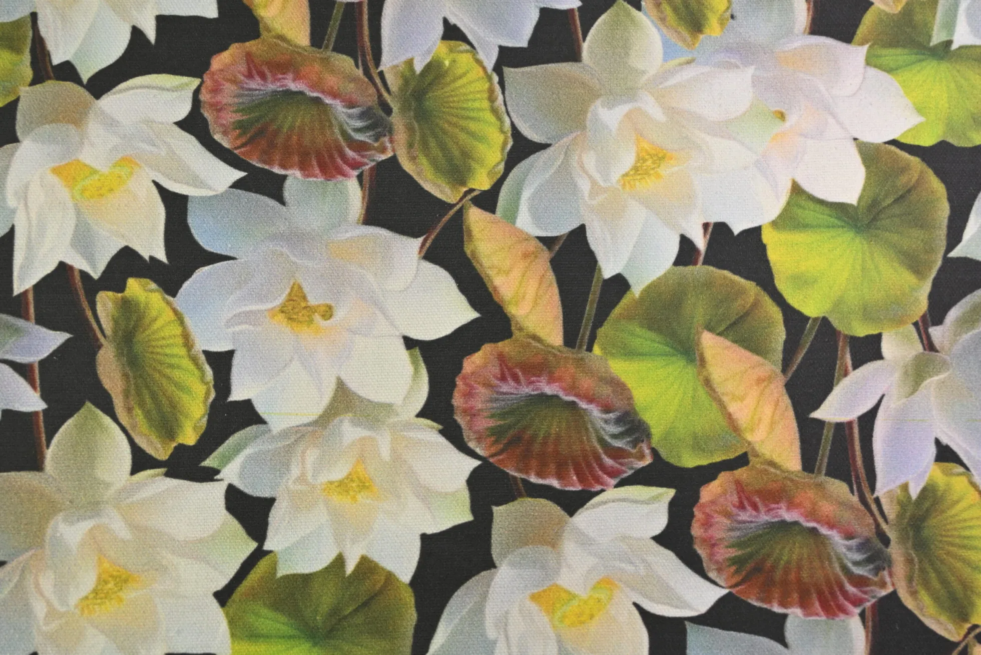Decostof – Black Lotus Bloom
