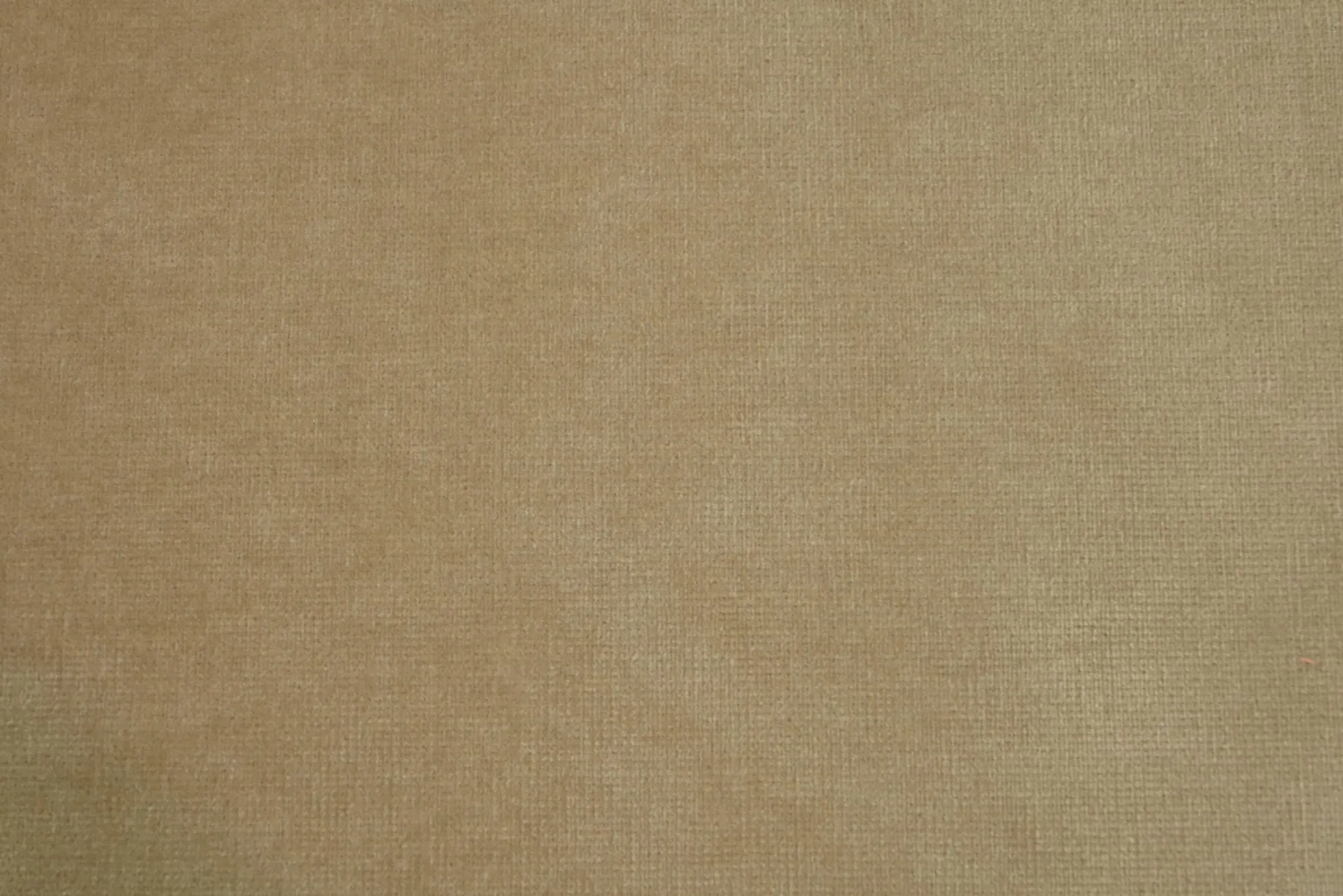 Fluweel / Velours – Champagne katoen