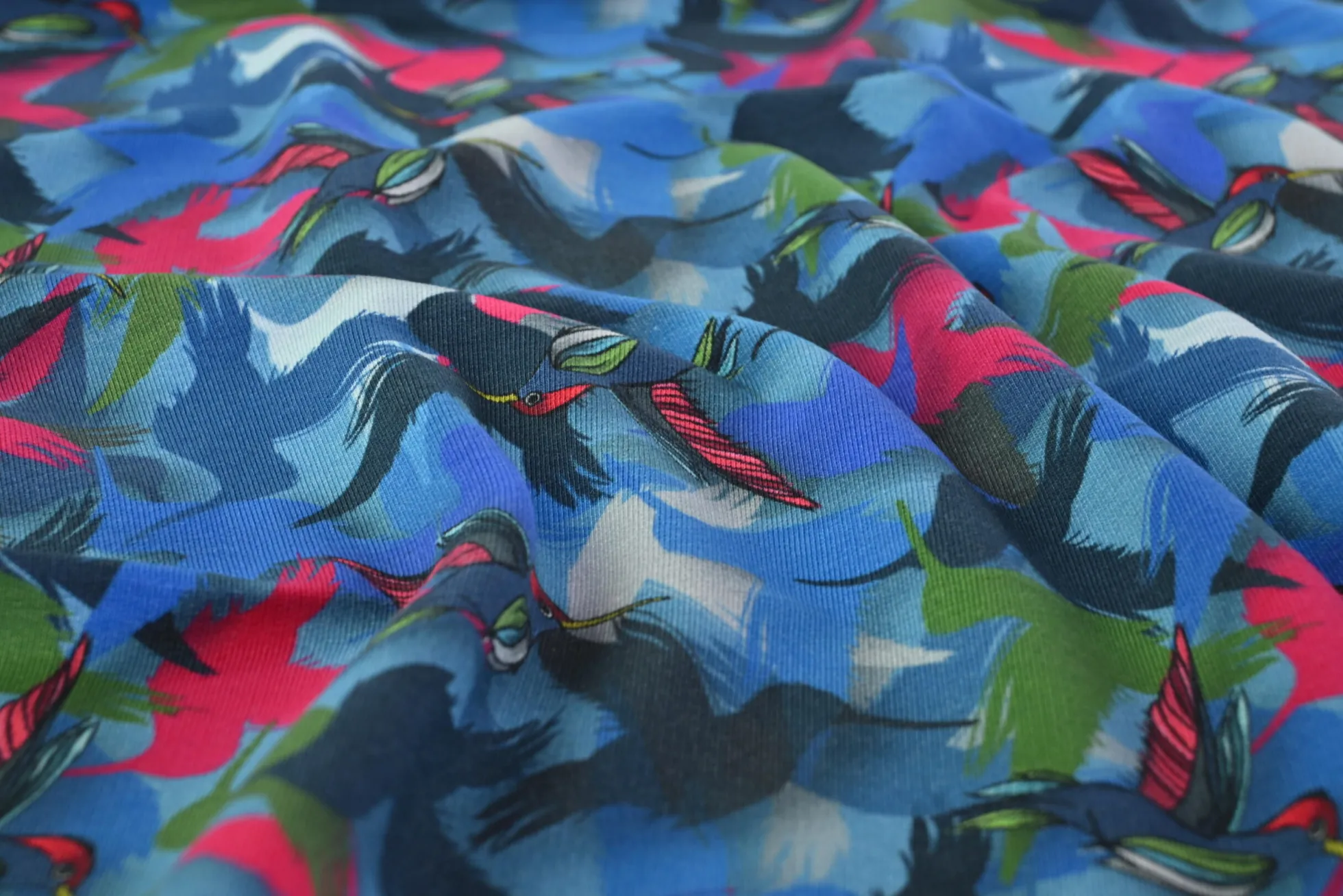 French terry – Blue hummingbird