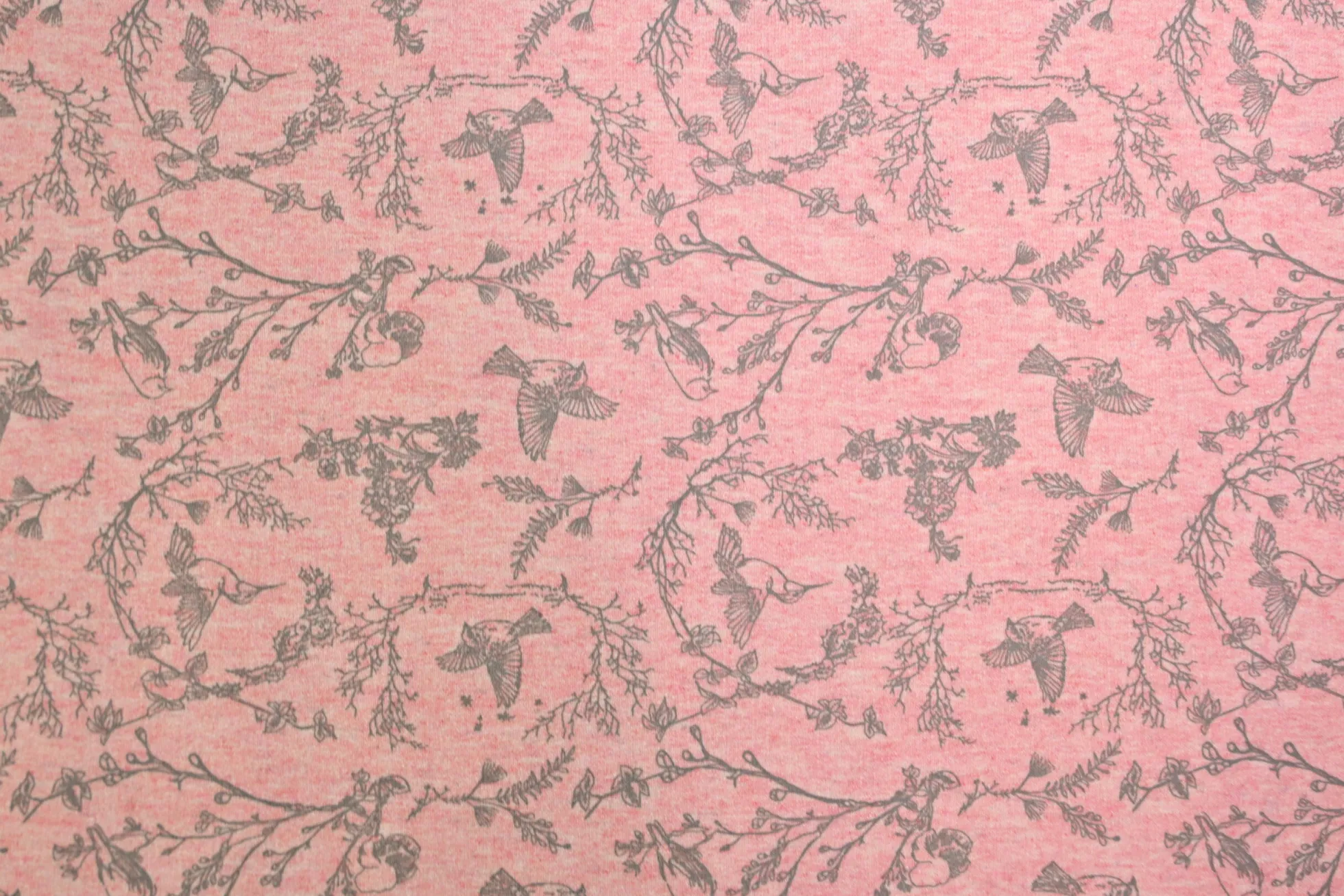 French terry – Blush Woodland Birds