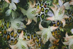 French terry – Digital lily khaki
