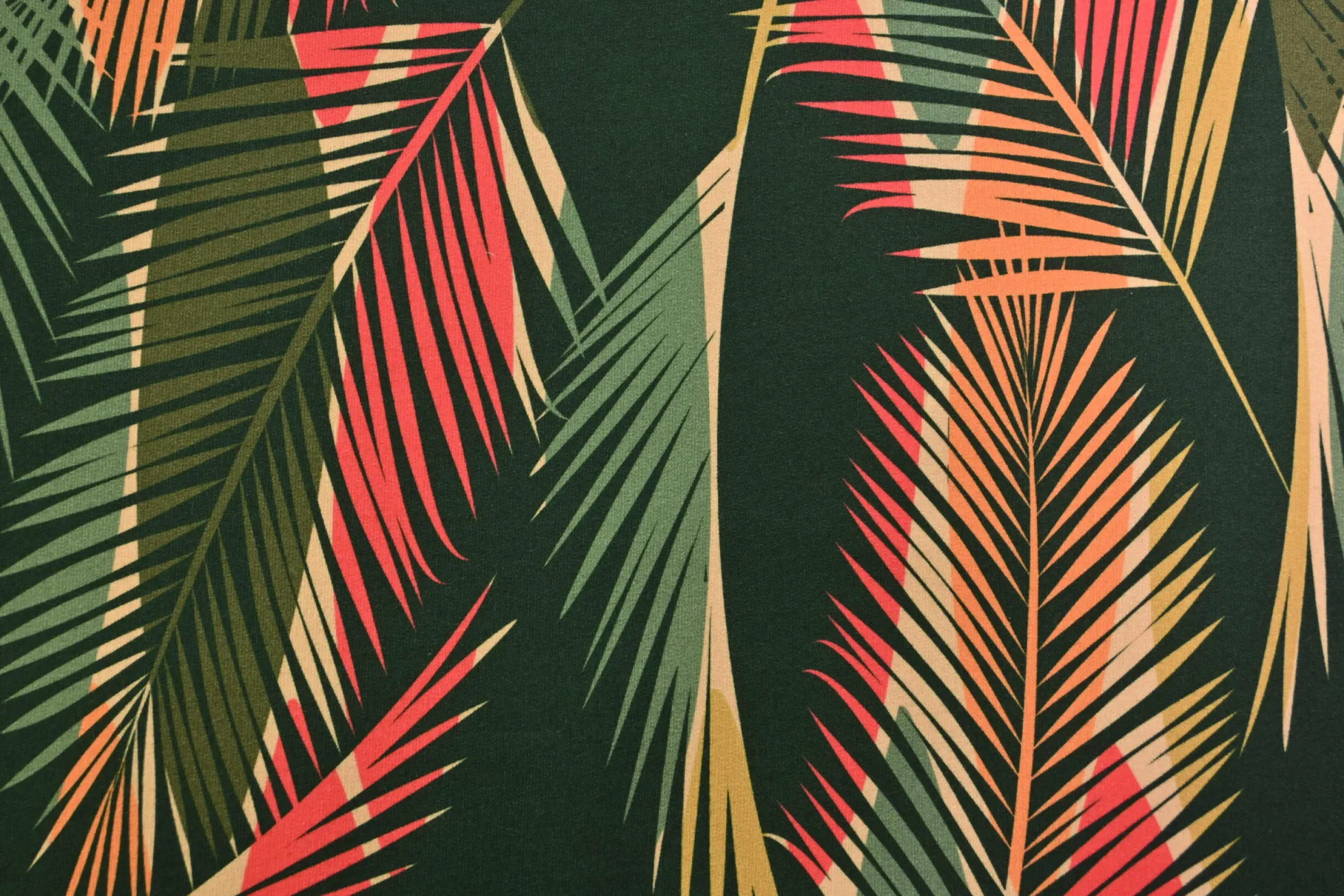 French terry – Palm trees