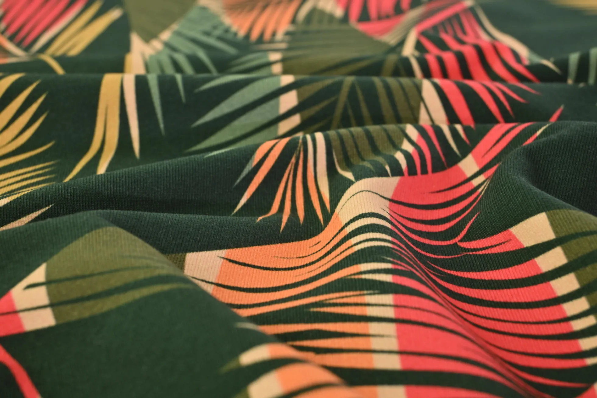 French terry – Palm trees