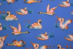Jogging – Coral Swans on blue