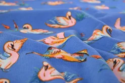 Jogging – Coral Swans on blue