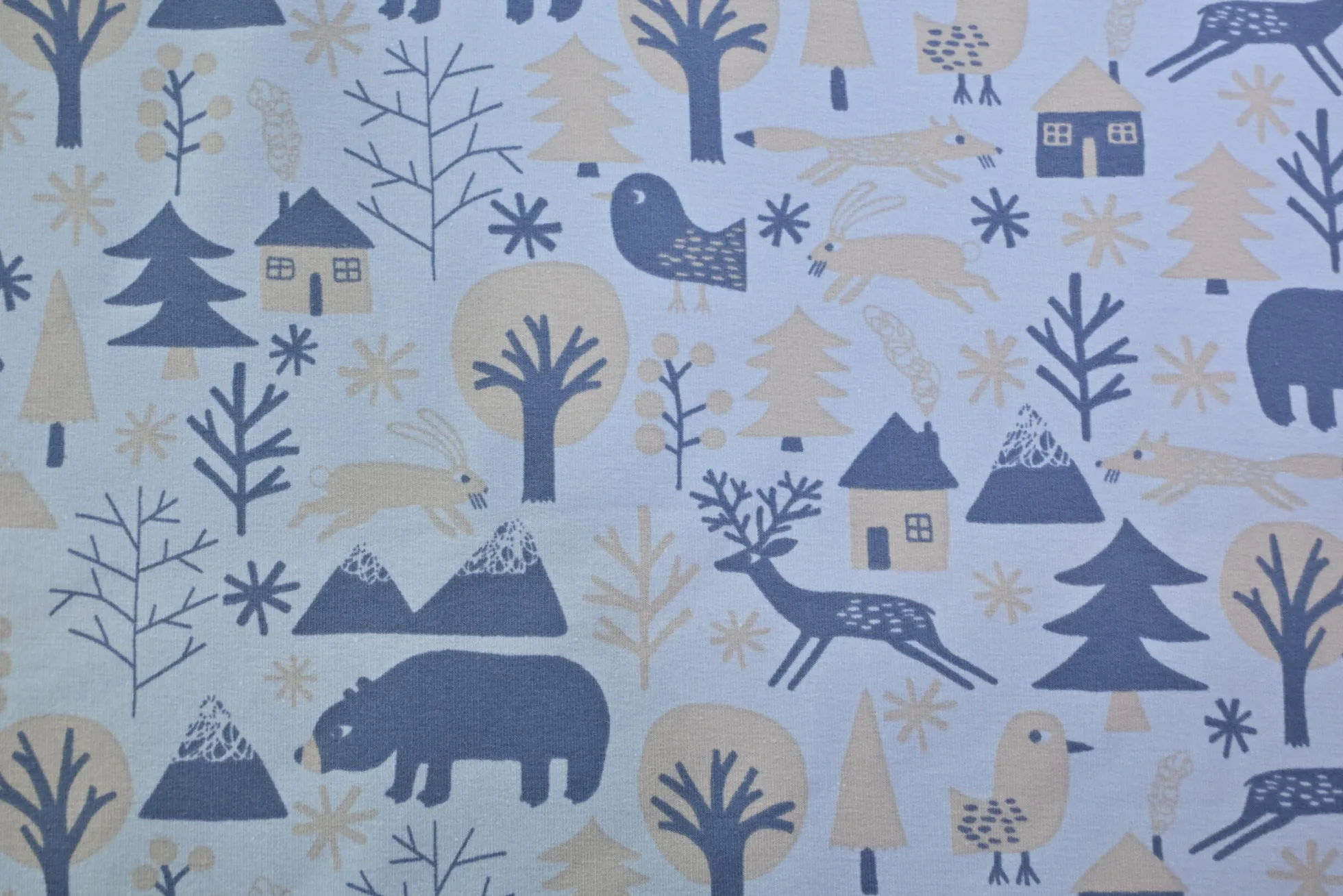 Jogging – Winter Woodland