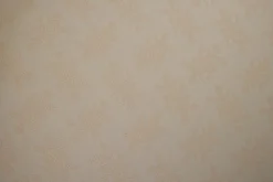 Kant – Skincolor small rose