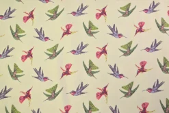 Katoen tricot – Hummingbird
