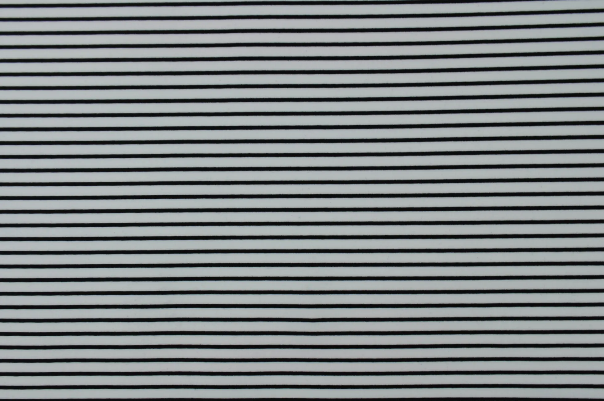 Lycra – Black & white stripes
