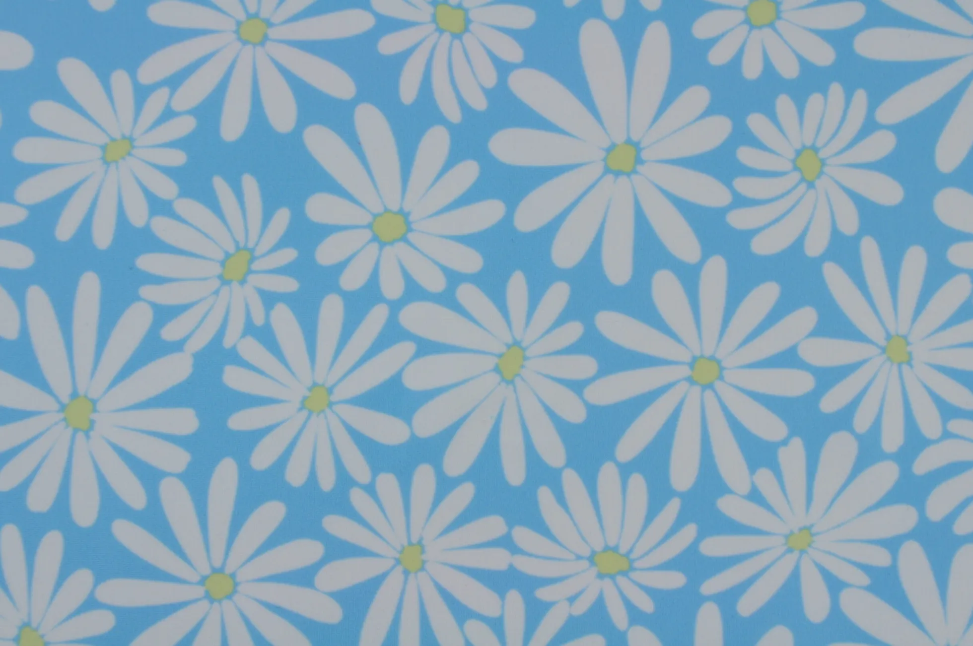 Lycra – Daisy delight aqua