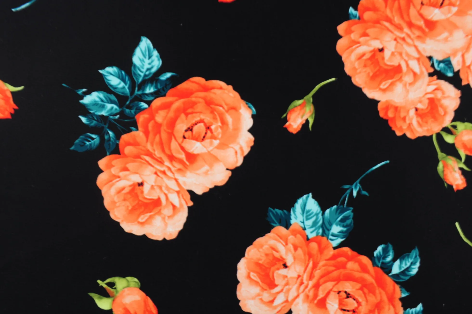 Lycra – Midnight roses