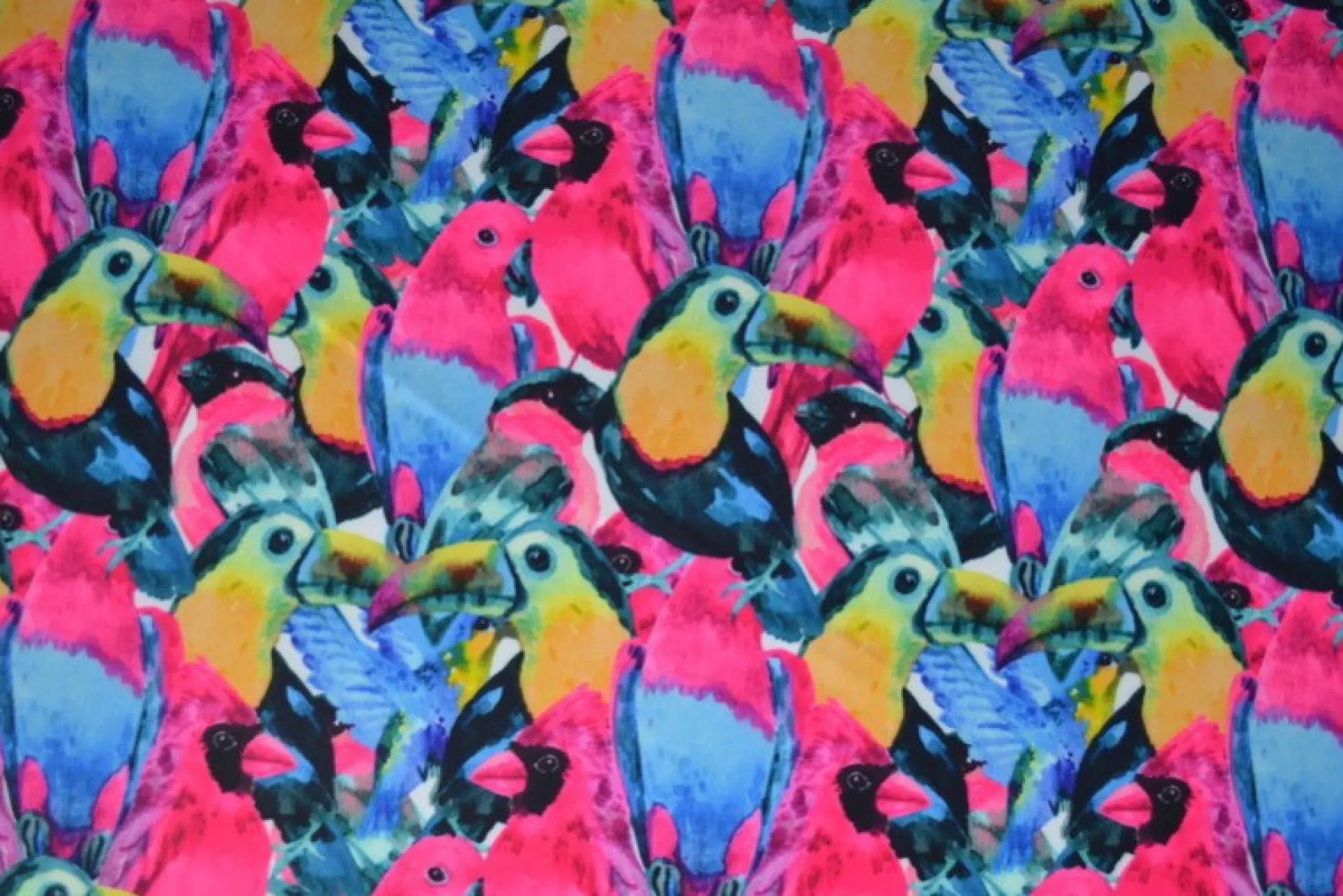 Lycra – Parrots & toucans pink
