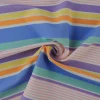 Lycra – Pastel rainbow stripes