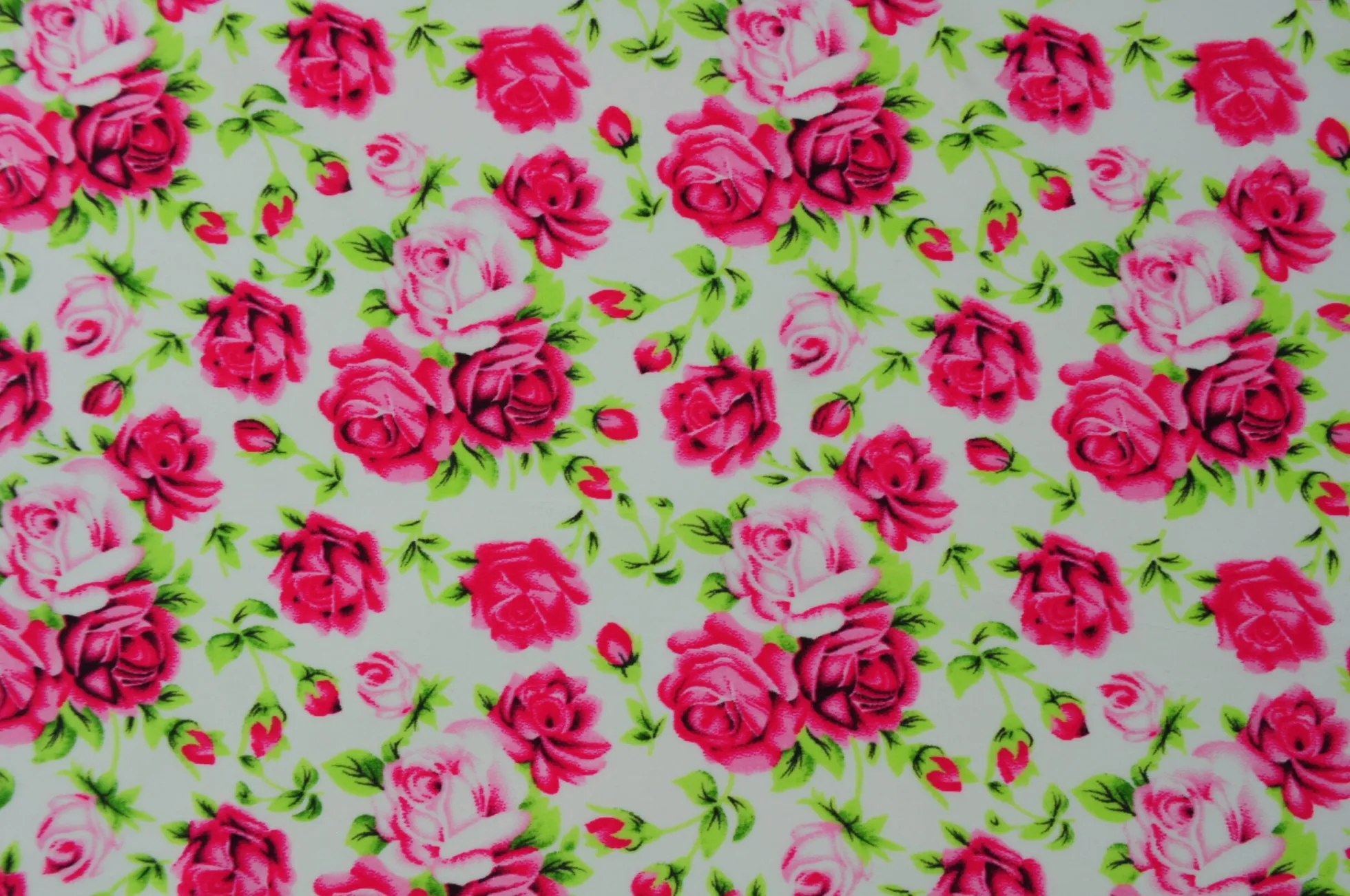 Lycra – Pink roses