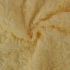 Mesh deluxe – Champagne roses