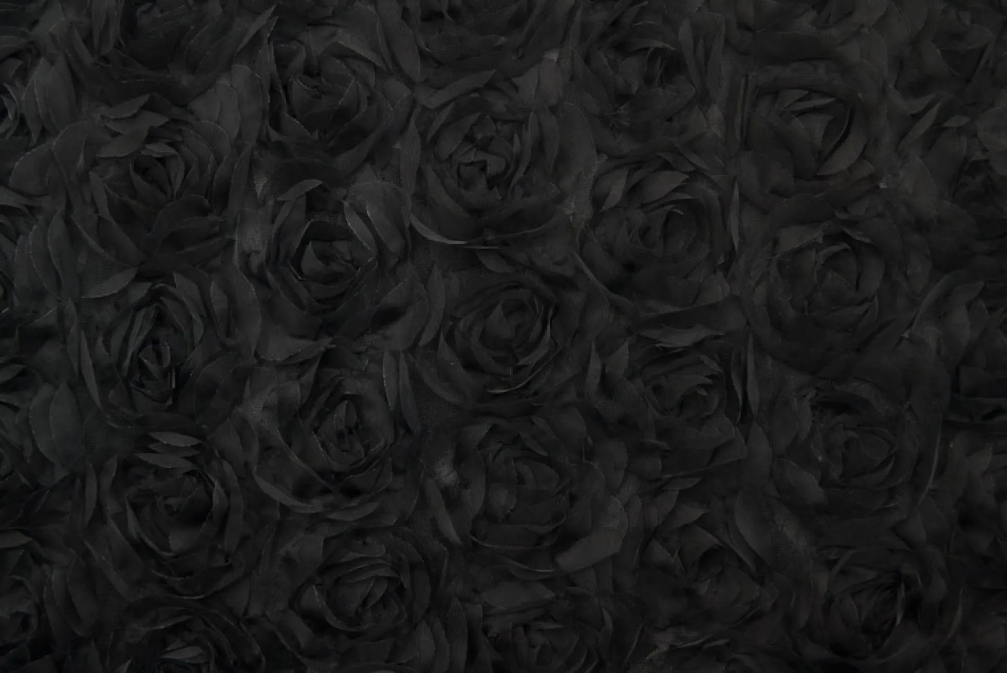 Mesh deluxe – Zwart roses