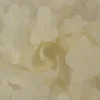 Mesh Flower – Champagne geborduurd