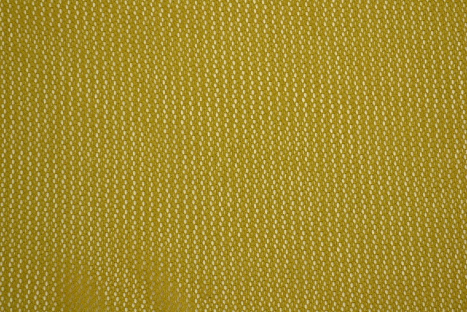Mesh – Mosterd