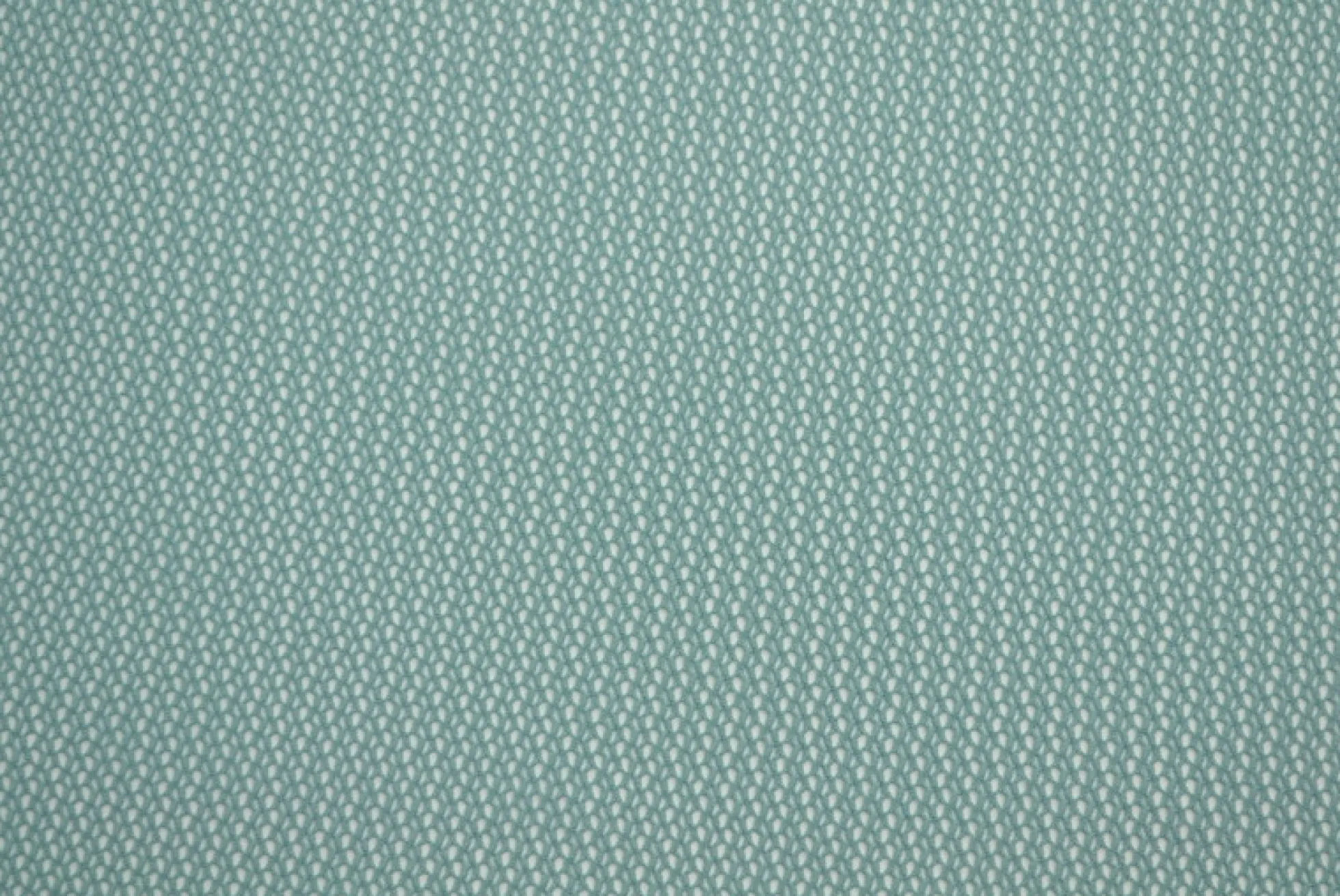 Mesh – Oudgroen