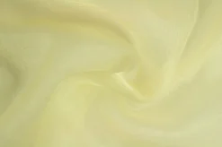 Organza – Champagne