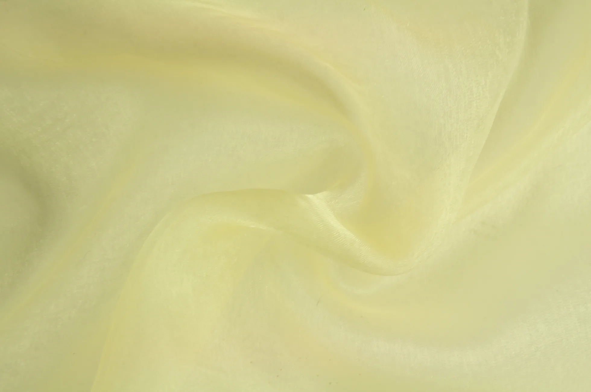 Organza – Champagne