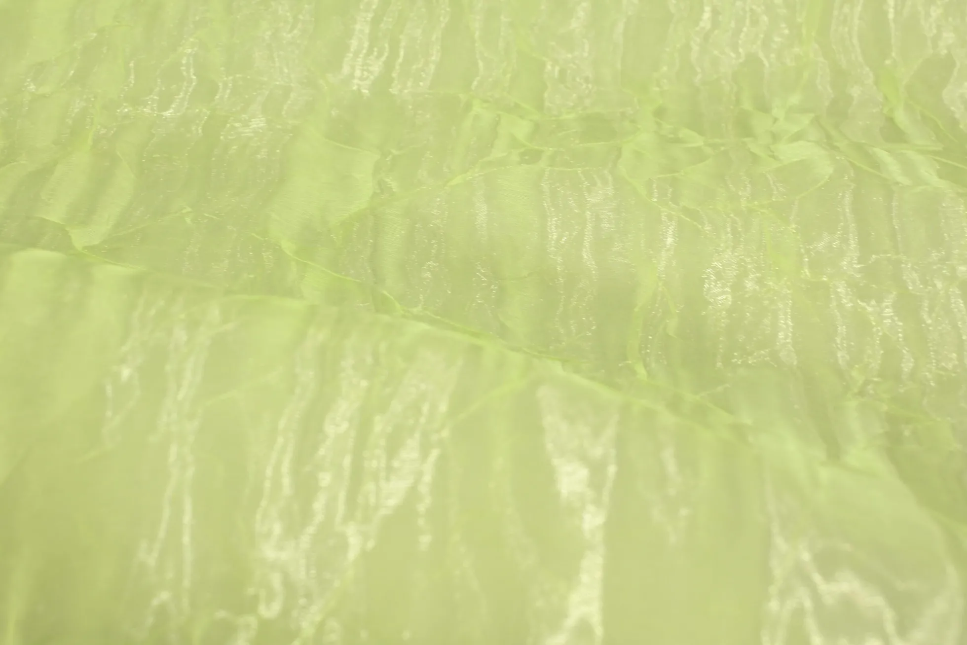 Organza crinkle – Limegroen