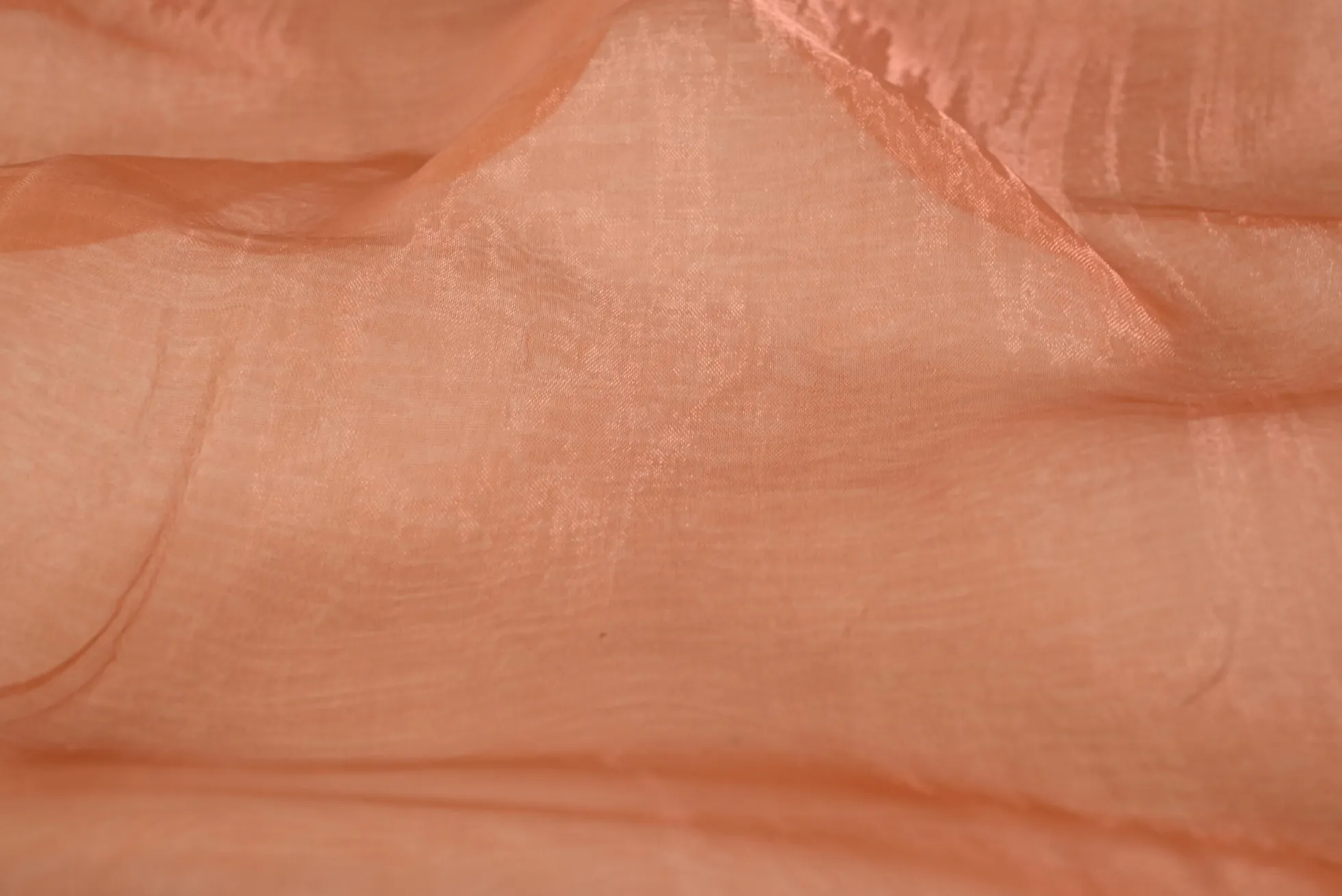 Organza – Koper