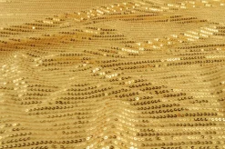 Pailletten – Champagne