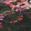 Stretch katoen – Digital flowers alcantara touch