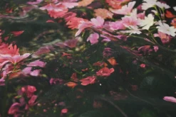 Stretch katoen – Digital flowers alcantara touch