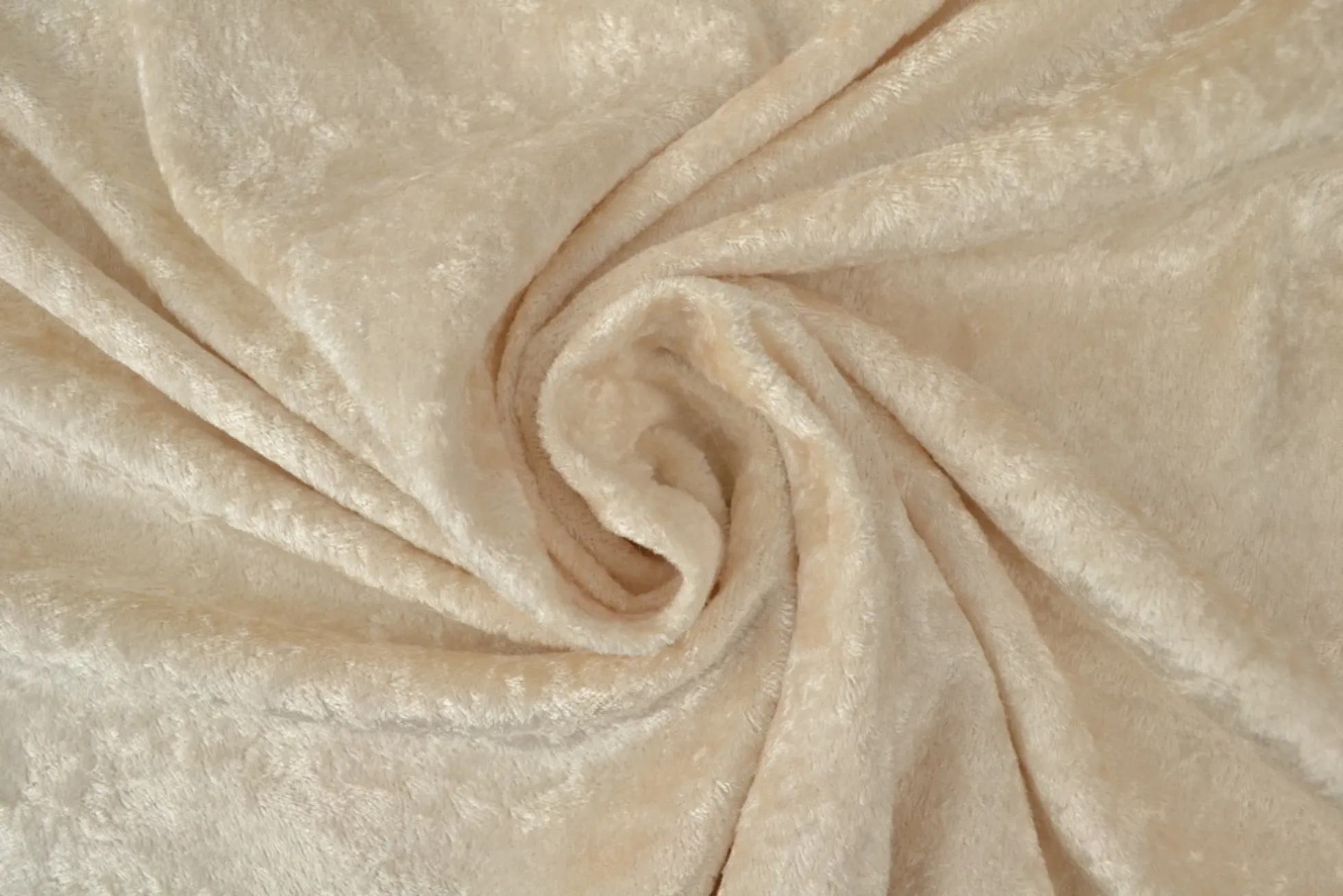 Velours de panne – Champagne