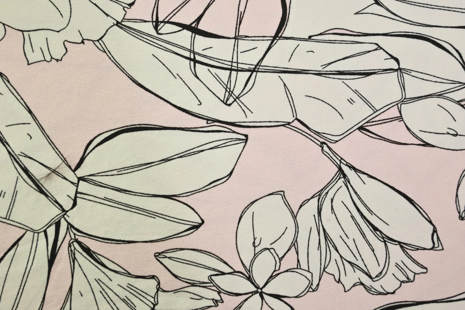 Viscose tricot – Blush Botanical Sketch