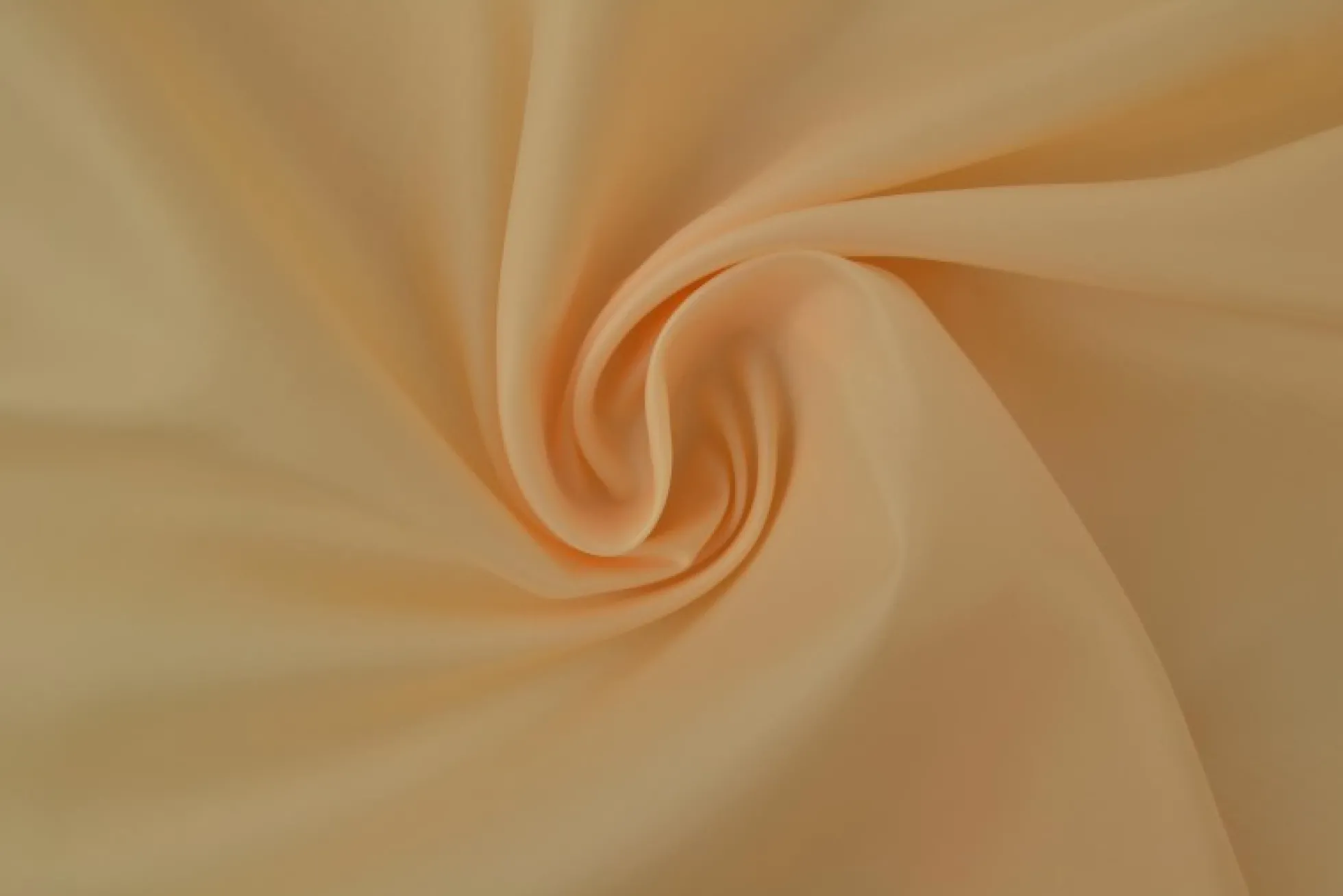 Voering: Champagne